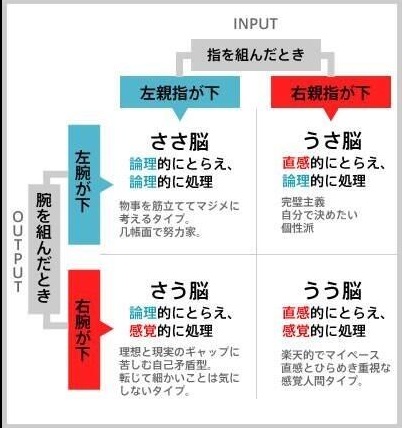 脳チャート.jpg