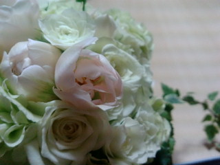 20090412161942.jpg