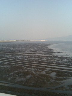 20090508170210.jpg