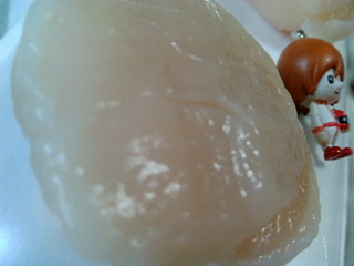 20090514182307.jpg